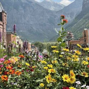 Kind Travel in Telluride, Colorado