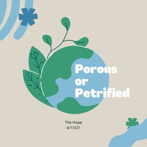 Porous Or Petrified - 6/13/21