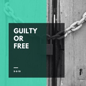 Guilty or Free 9-8-19