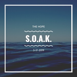 S.O.A.K. // 3-17-2019