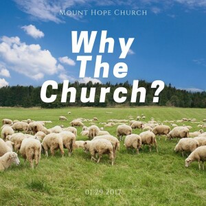 Why The Church?