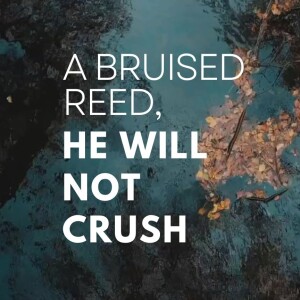 1/5/2025 - A Bruised Reed He Will Not Crush - Pastor Norm Oberlin