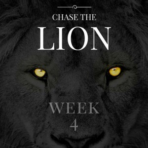 Chase The Lion Week 4