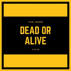 Dead Or Alive - 9-20-20