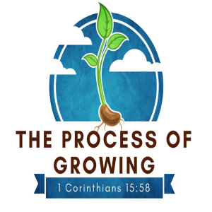 Jan 3, 2021: The Process of Growing