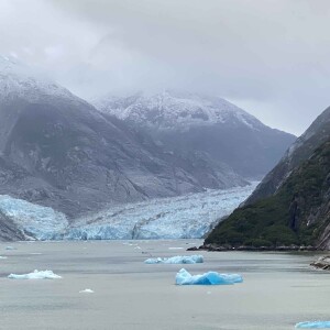 Cheryl Ogle - Cruising Alaska in 2024