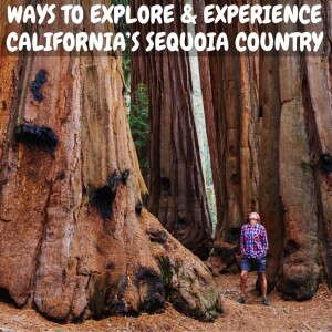 Wonderful Ways to Experience and Explore California's Sequoia Country