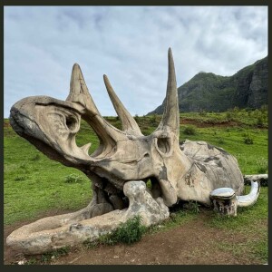 Debbie Stone - A Visit to Kualoa Ranch in Hawaii