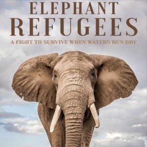 Filmmaker Louise Hogarth - Elephant Refugees