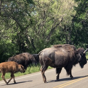 North Dakota Badlands - Travel Writer Debbie Stone on Big Blend Radio
