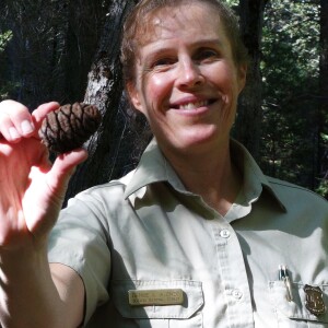 Denise Alonzo - Visiting Sequoia National Forest in Central California