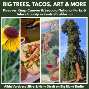 Giant Sequoias, Taco Trails & Spring Adventures