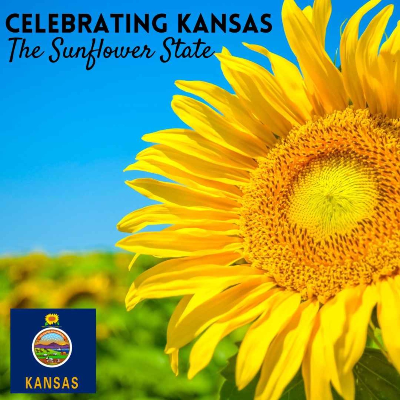 Celebrating Kansas, The Sunflower State