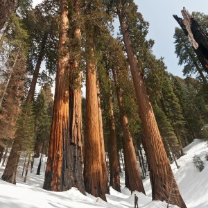 Winter Outdoor Recreation in California’s Sequoia Country