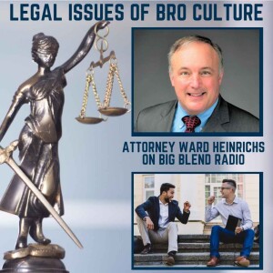 Legal Issues of Bro Culture