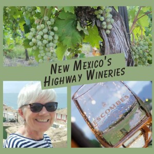 Stacey Wittig - New Mexico’s Highway Wineries