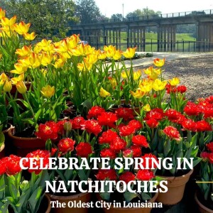 Celebrate Spring in Natchitoches, Louisiana