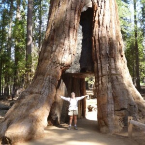 Yosemite - A Park for All Seasons