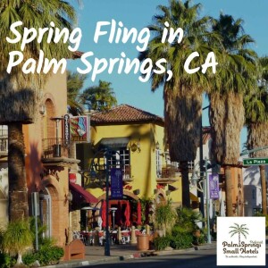 Kimberli Munkres - Spring Fling in Palm Springs, California