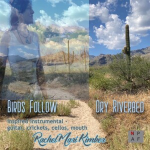 Rachel Mari Kimber’s Desert Soundscape: Birds Follow Dry Riverbed