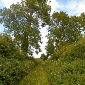 Glynn Burrows: Walking the Roman Roads of England