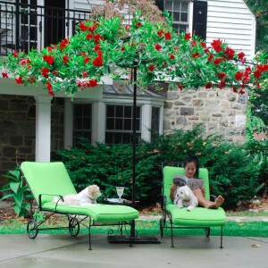 Living Canopies and Bethesda Green