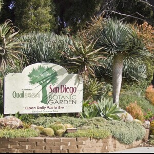 San Diego Botanic Garden - Julian Duval o Big Blend Radio