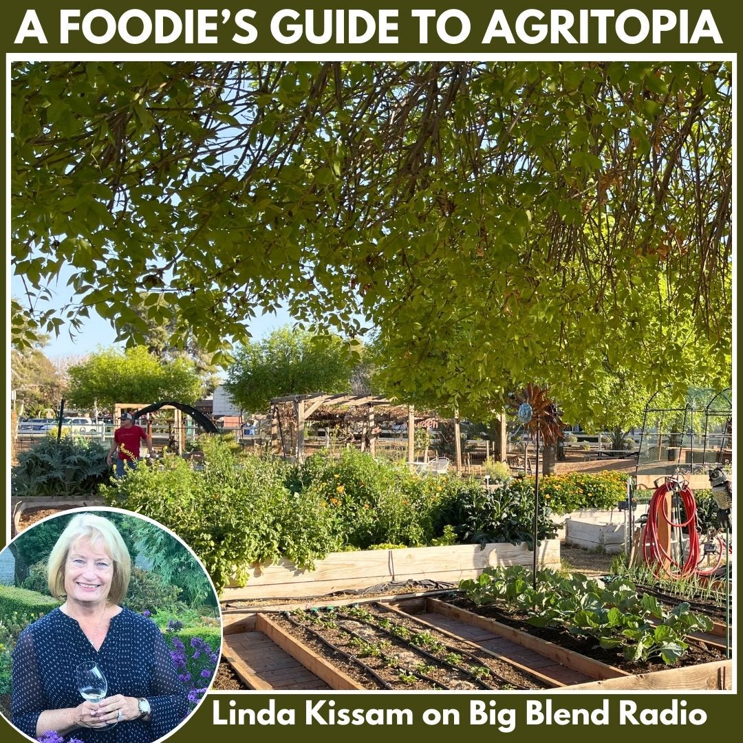 A Foodie's Guide to Agritopia in Gilbert, Arizona