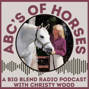 ABC’s of Horses Podcast with Christy Wood