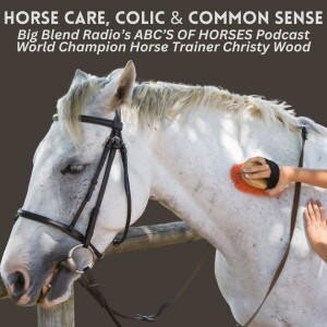 Horse Care, Colic, and Common Sense
