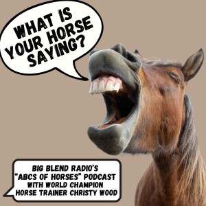What is Your Horse Saying?