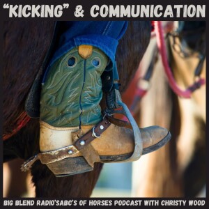 ABCs of Horses: Kicking and Communication