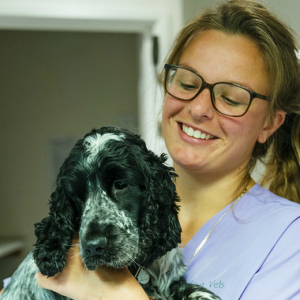 Veterinary Wellbeing Award winner - Viking Vets