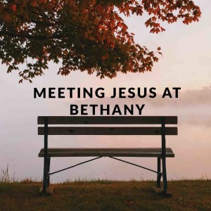 Meeting Jesus at Bethany