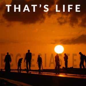 The Meaning of Life