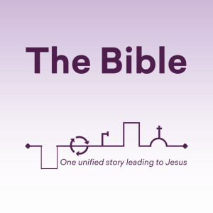 The Bible: The Big Picture - New Testament