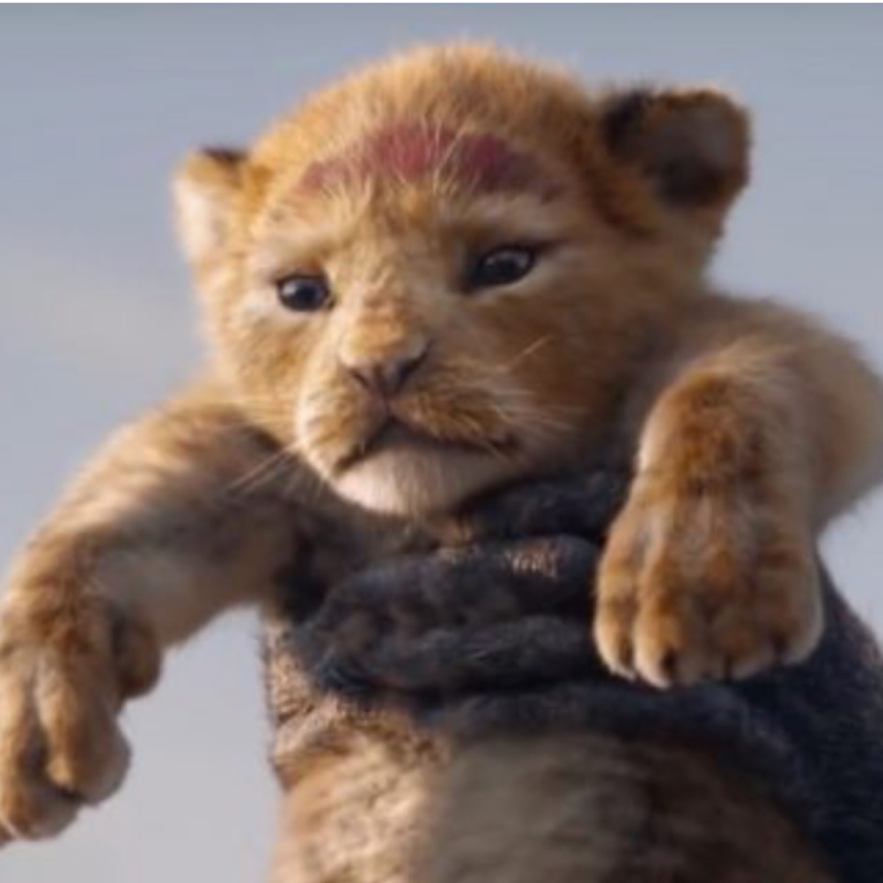 how-to-not-be-scared-of-horror-movies-as-an-adult-lion-king-rotten