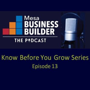Episode 13: Digital Accessibility for Small Businesses