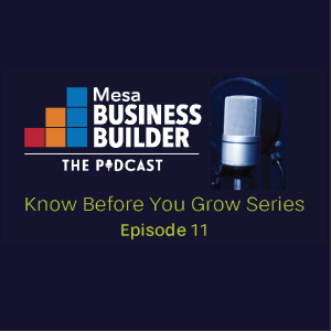 Episode 11: 5 Must-Haves for Small Business Marketing Success