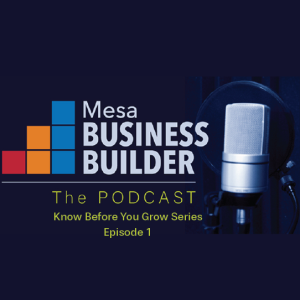 Episode 1 – Mesa Business Builder online: Having trouble finding help?