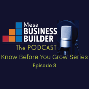 Episode 3 – City of Mesa Development Services Tenant Improvements and Signs