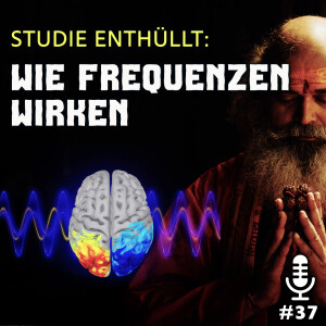 Wissenschaft beweist: Die Wirkung von Frequenzen