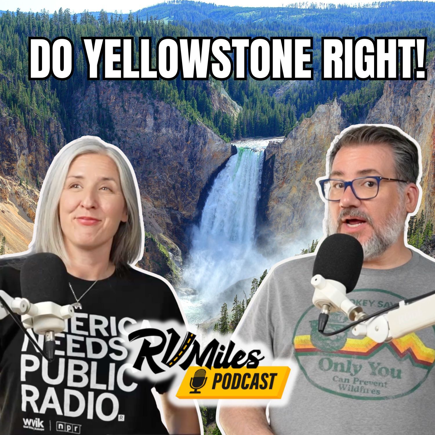366. How To Visit Yellowstone - The MOST Wildlife, The BEST Time of Year