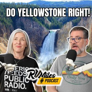 366. How To Visit Yellowstone - The MOST Wildlife, The BEST Time of Year