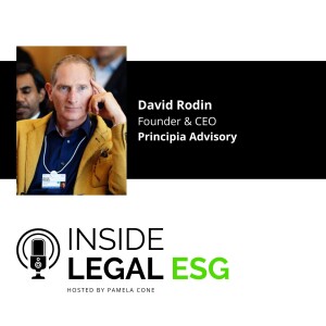 Inside Legal ESG / David Rodin / Founder & CEO / Principia Advisory