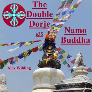 Namo Buddha - best of three?