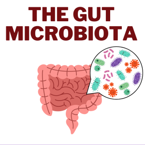 The Bugs In Our Gut