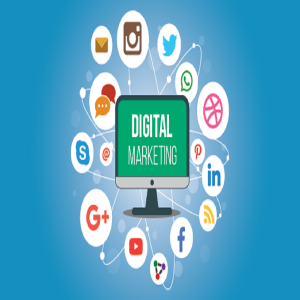 Advantages of Opting For a Qualified Digital Marketing Organization