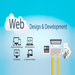 5 Reasons Why You Should Hire a Website Design and Development Company