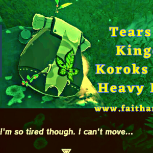 Audio Chapter: Tears of the Kingdom - Koroks and Our Heavy Burdens